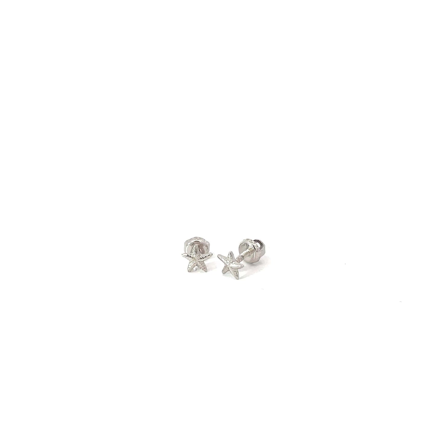 OCEAN STAR SILVER STUDS