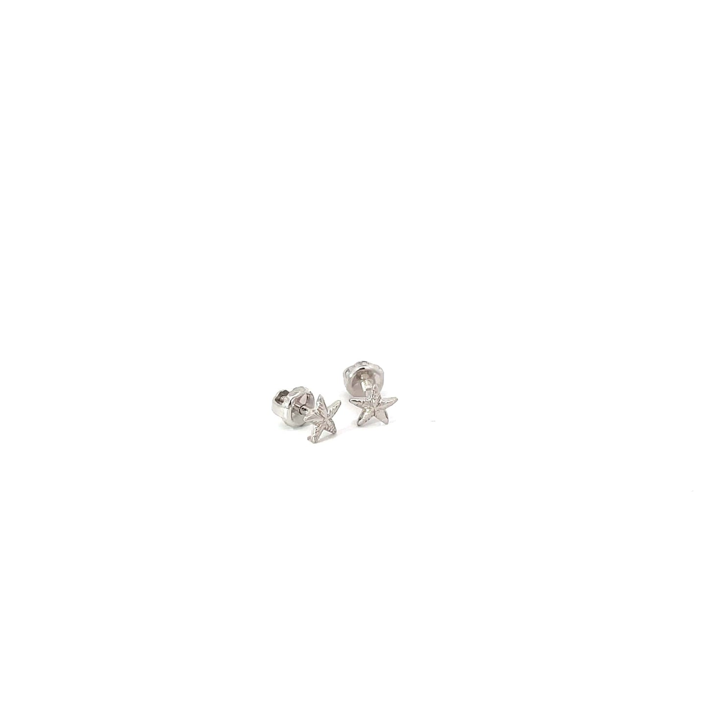 OCEAN STAR SILVER STUDS