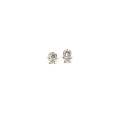 OCEAN STAR SILVER STUDS