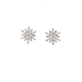 FROST BLOOM SILVER EARRINGS