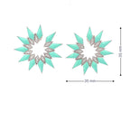 STUNNIG STARBURST SILVER EARRINGS